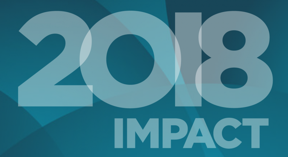 BNMC 2018 Impact Report