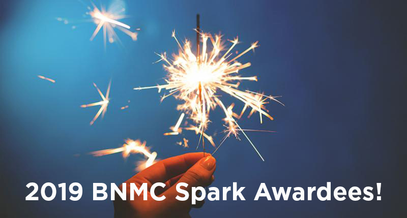 BNMC Awards Micro-Grants to 12 Local Organizations
